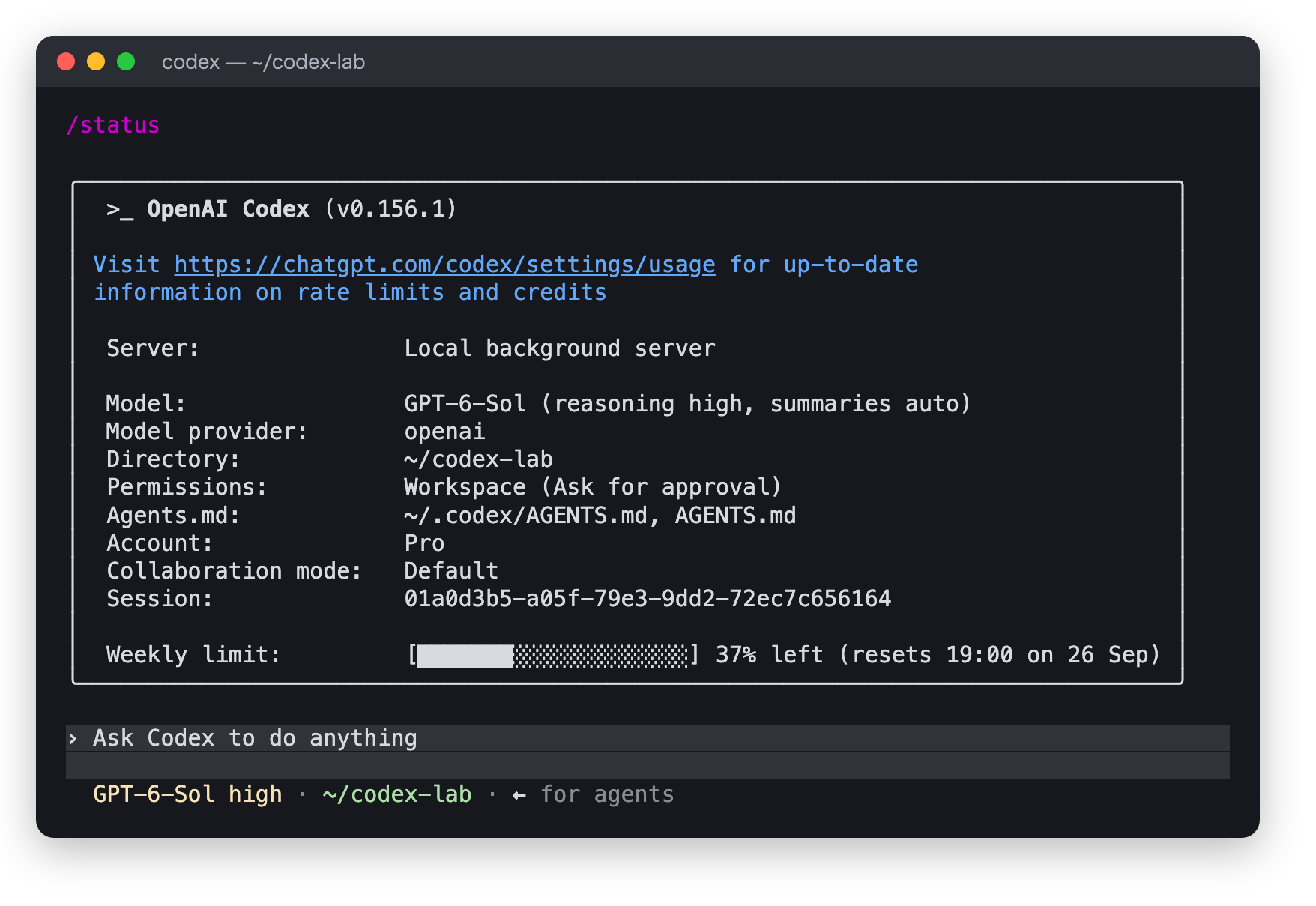 /status の出力。Server: Local background server の行がある