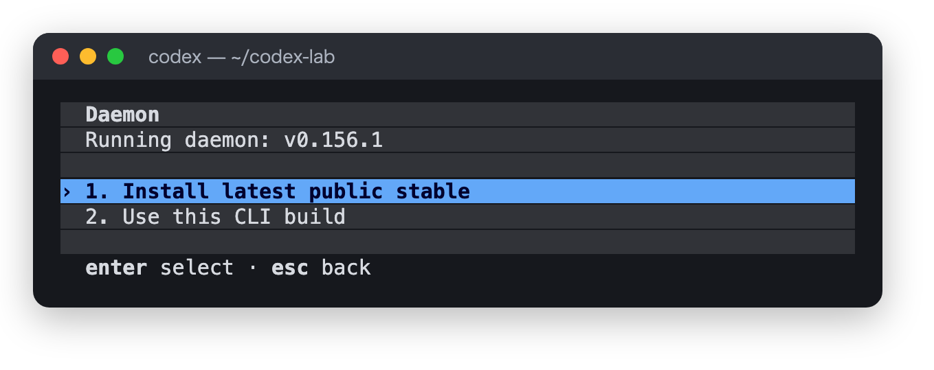 /daemon の画面。Running daemon: v0.156.1 と、Install latest public stable、Use this CLI build の2つの選択肢