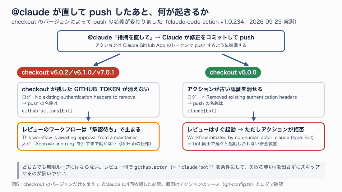 checkout v6.0.2・v6.1.0・v7.0.1 では GITHUB_TOKEN が消えずに github-actions[bot] 名義で push され承認待ちになり、v5.0.0 では claude[bot] 名義で push され、レビューは起動するがアクションに拒否される流れを左右に並べた図