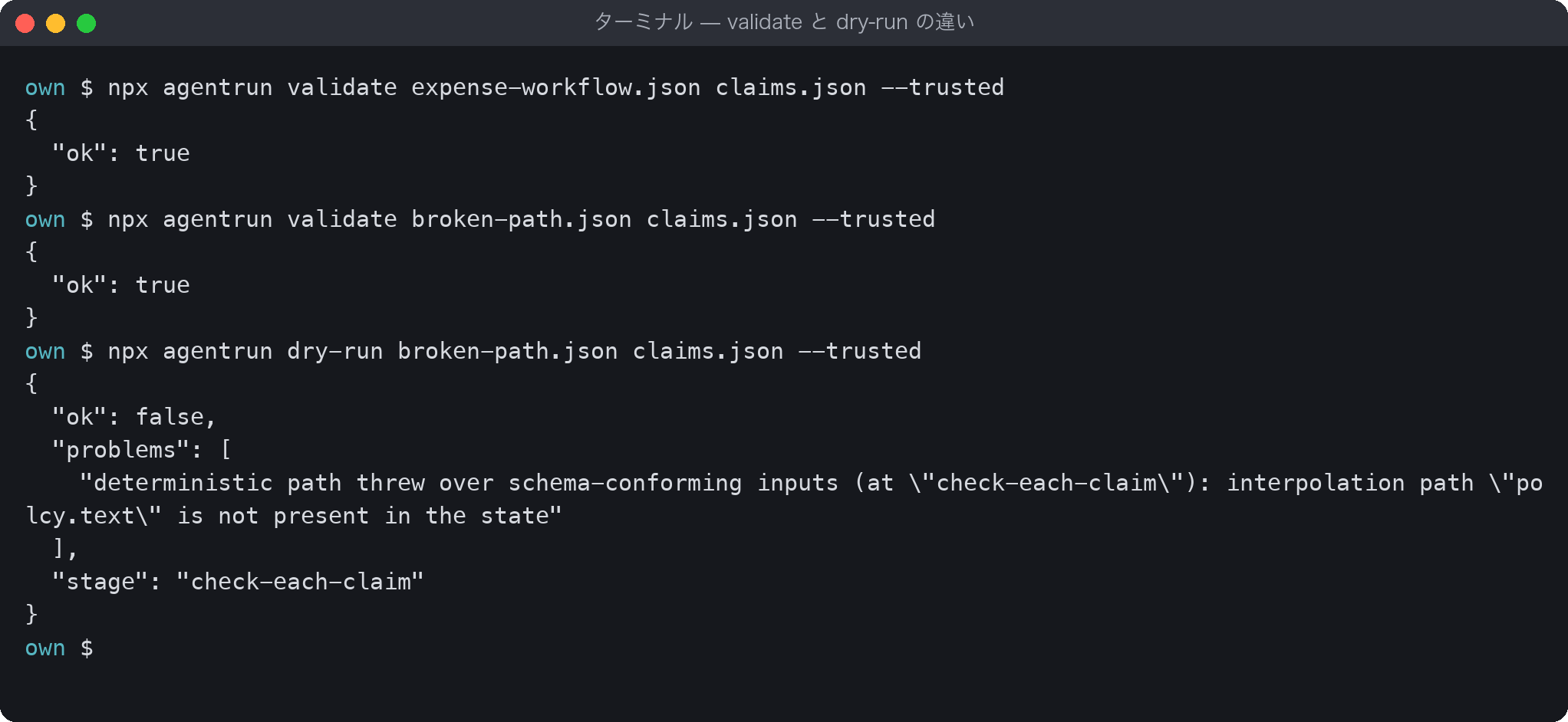 validateは正しい定義でも書き間違えた定義でもok: trueを返し、dry-runでinterpolation path "polcy.text" is not present in the stateというエラーが出た端末画面