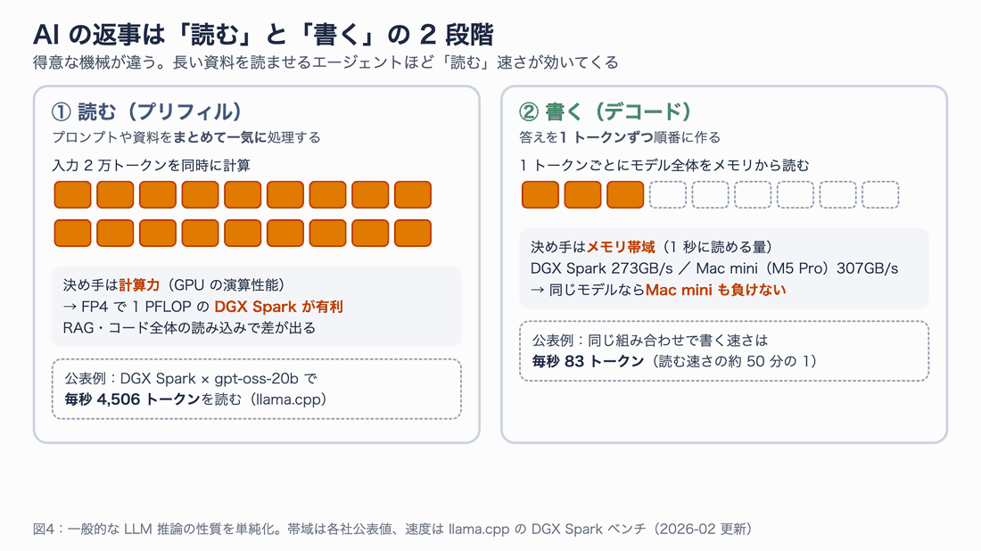 AI の返事を作る 2 段階の図。読む段階（プリフィル）は計算力で決まり、FP4 で 1 PFLOP の DGX Spark が有利。書く段階（デコード）はメモリ帯域で決まり、DGX Spark の 273GB/s より Mac mini M5 Pro の 307GB/s のほうが大きい