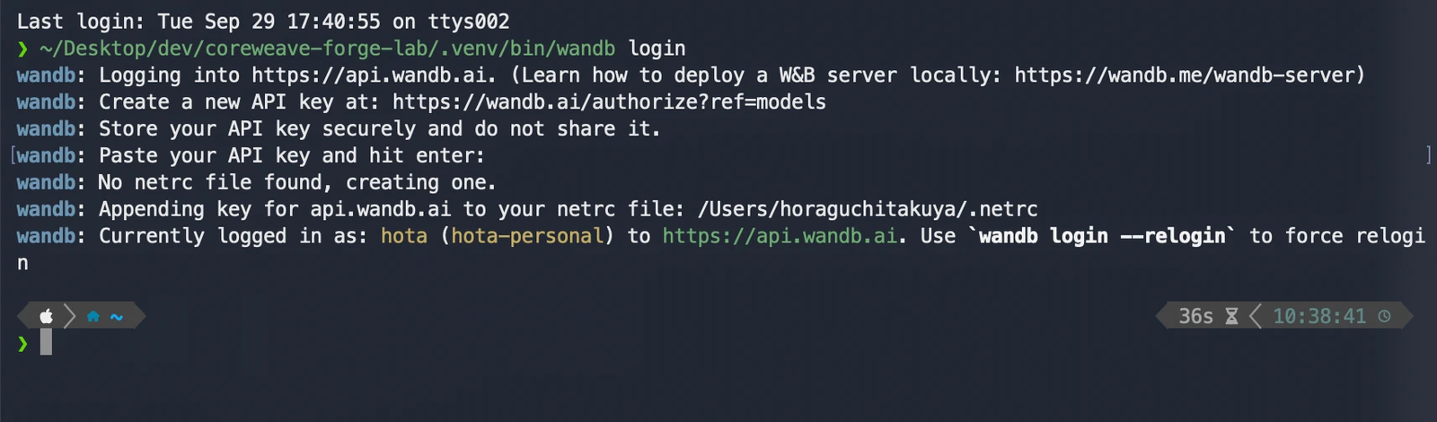 ターミナルで wandb login を実行した画面。Logging into https://api.wandb.ai、Create a new API key at の案内の後、No netrc file found, creating one、Currently logged in as hota と表示